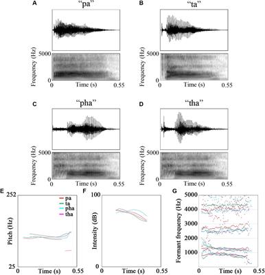 Top-Down Predictions of Familiarity and Congruency in Audio-Visual Speech Perception at Neural Level